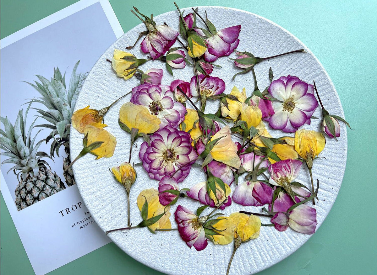 Pressed Rose Buds: Two-Tone Purple & Yellow, Floral Craft Supply (12 PCS)