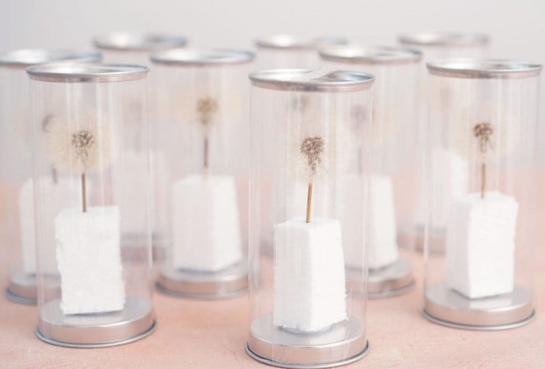 Dried Dandelion Flowers: Natural Pressed Flowers, DIY Crafts (10 PCS)