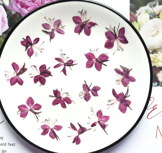 Pressed Purple Gaura Flowers: Dried Floral Embellishments (10 PCS/Pack)