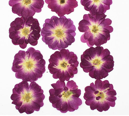 Pressed Purple Rose Flowers: Dried Floral Embellishments (8 PCS)