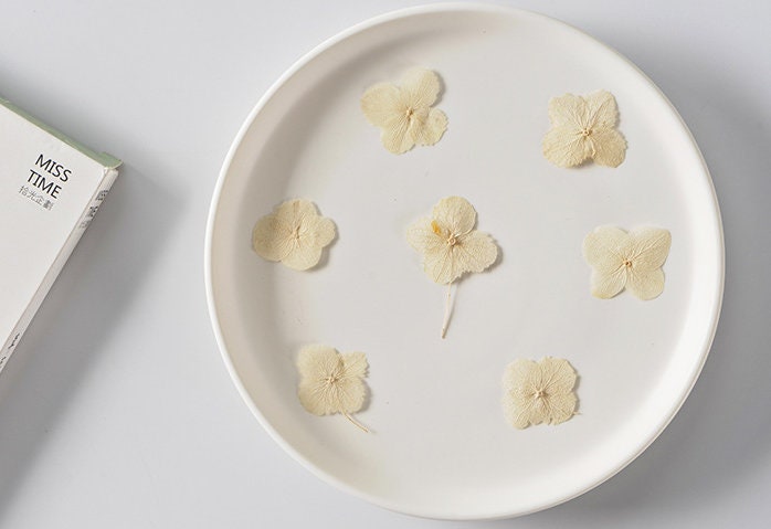 Natural White Hydrangea Dried Flowers - 12PCS Pack dry flower,Pressed flowers