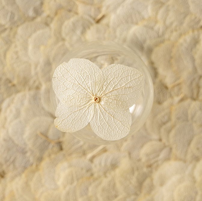 Natural White Hydrangea Dried Flowers - 12PCS Pack dry flower,Pressed flowers