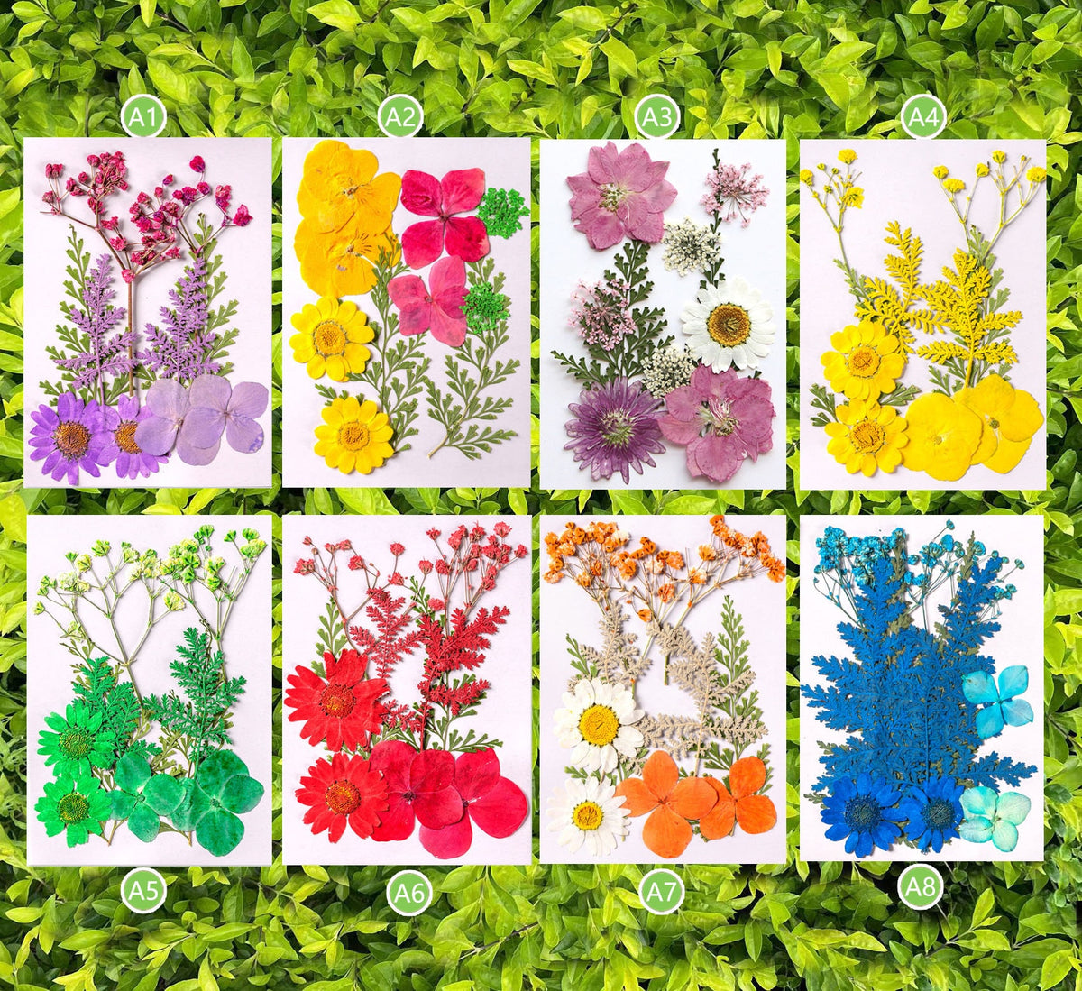Mixed Dried Pressed Flowers: DIY Resin Jewelry & Crafts