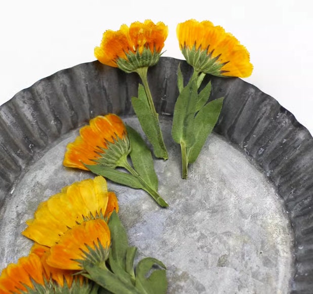 Pressed Calendula Flowers: Orange Floral Petals (12 PCS)