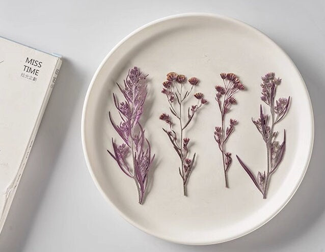 12 PCS Purple Pressed Flowers: Tiny Real Dried Flower Stems Pressed dry flowers