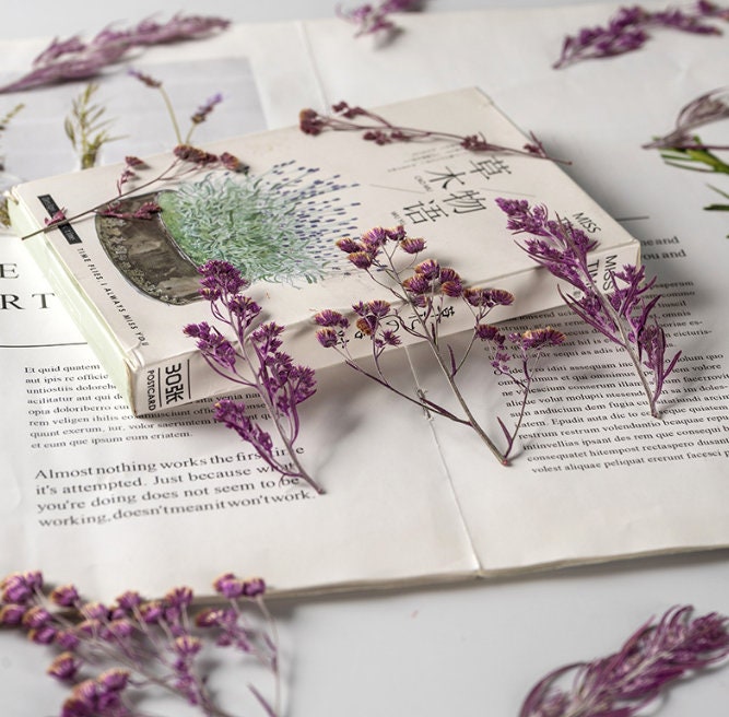 12 PCS Purple Pressed Flowers: Tiny Real Dried Flower Stems Pressed dry flowers