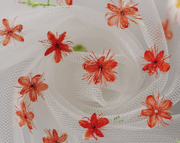 Pressed flower,Pressed Symplocos paniculata,12 PCS/Pack,Orange dried flower,Real orange flower,dried flower petals,Small dried flowers