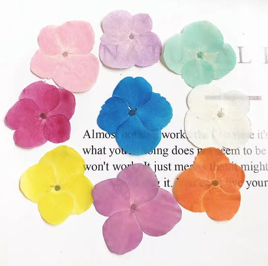 12 PCS Pressed Hydrangea Flowers: Dried Flower Combination, Resin Crafts