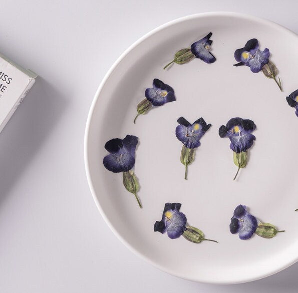 Summer Viola Pressed Flowers, 12 PCS Bulk, Resin Crafts