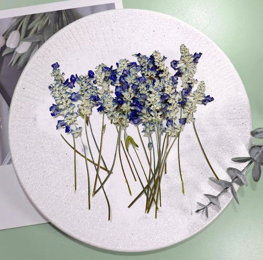 Dried Lavender Stems: Blue & White Wedding Flowers (Set of 6 PCS, 8-10cm