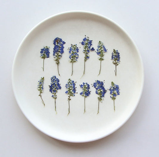 Dried Pressed Blue Sage Flowers - 12 PCS - Craft Supplies