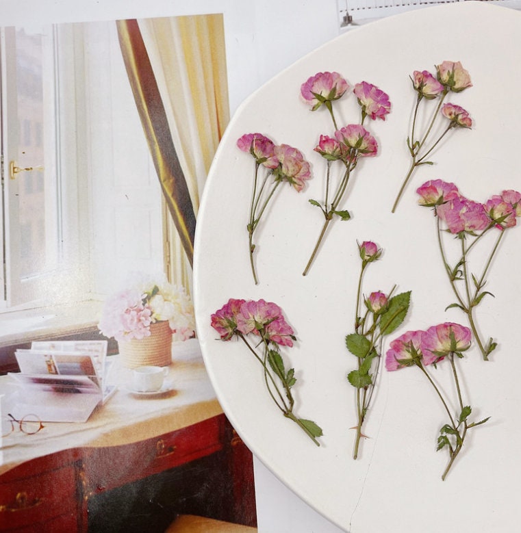 Pressed Pink & Purple Rose Stems: Tiny Dried Flowers (6 PCS/Pack)