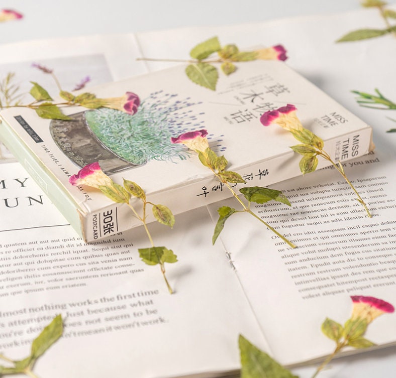 Red Rose Pressed Flowers: Dried Floral Stems, Crafts (8 PCS/pack) dry flower,Pressed flowers