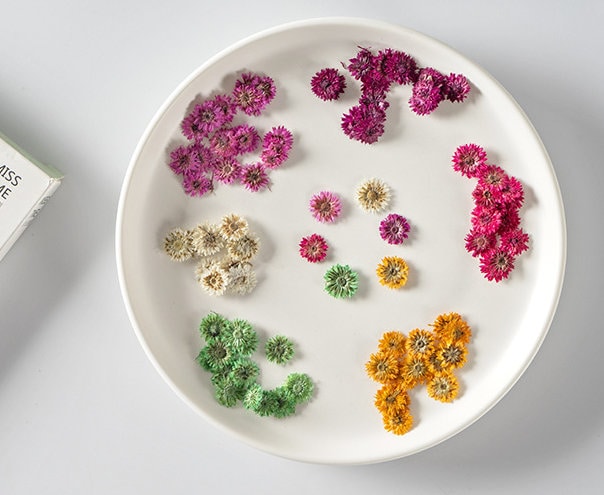 Small Chrysanthemum Pressed Flowers: nail flower Resin Crafts, Decoupage (10 PCS)