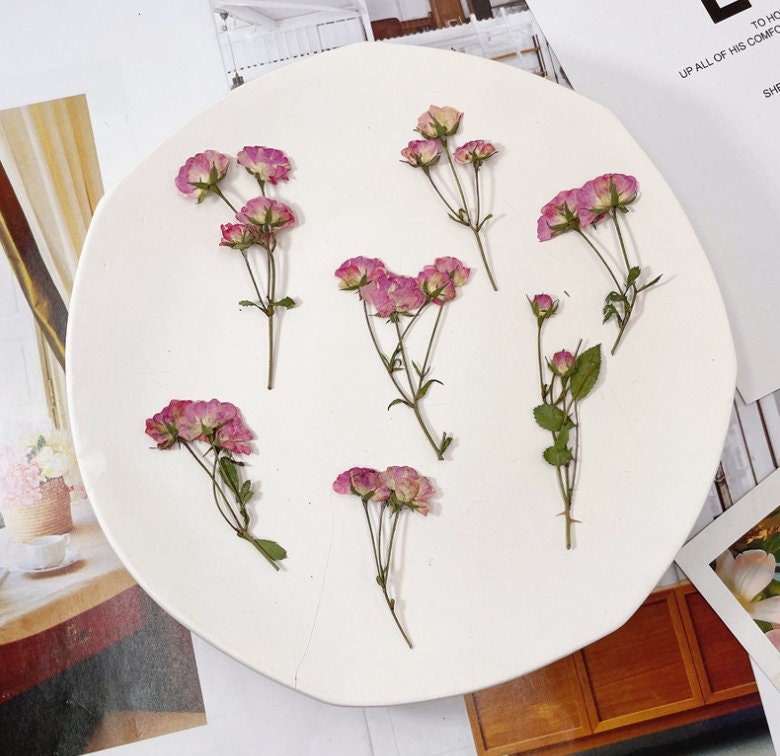Pressed Pink & Purple Rose Stems: Tiny Dried Flowers (6 PCS/Pack)