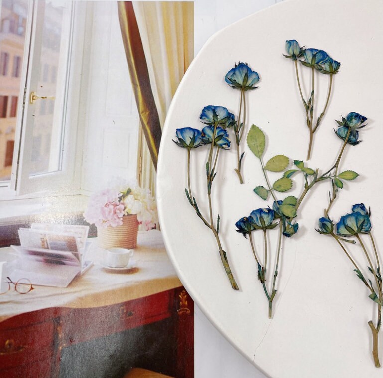 Dried Pressed flower,blue Rose Stems Pressed,6 PCS/Pack, Real Dry Rose Flower Stems Tiny, Rose Buds Dry Preserved Flowers Small Rose Buds