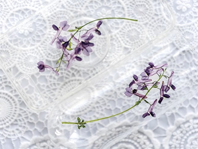 Pressed Light Purple Flowers: Real Dried Flower Stems, Resin Crafts (8 PCS/Pack)
