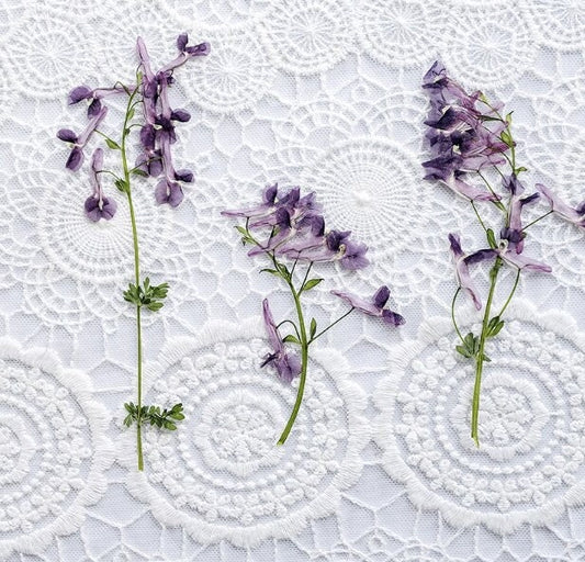 Pressed Light Purple Flowers: Real Dried Flower Stems, Resin Crafts (8 PCS/Pack)