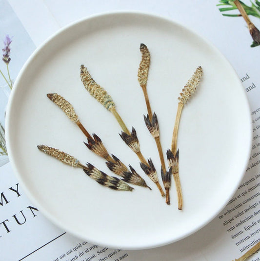 Bulk pressed flower,6 PCS/Pack,bookmark Dried Pressed flowers,Natural dry Flower,natural bulk Preserved dry flower,dried flat flowers