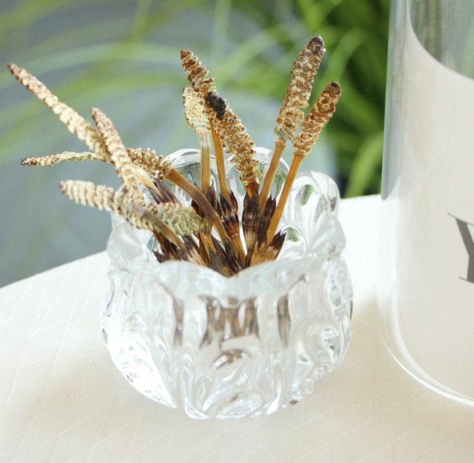 Bulk pressed flower,6 PCS/Pack,bookmark Dried Pressed flowers,Natural dry Flower,natural bulk Preserved dry flower,dried flat flowers