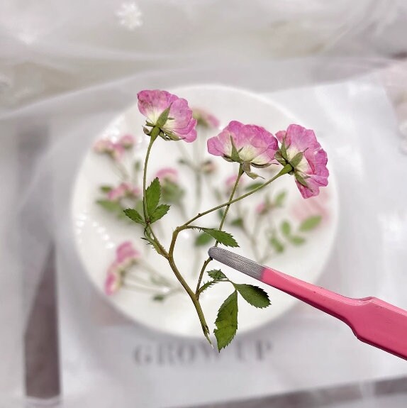 Pressed Pink & Purple Rose Stems: Tiny Dried Flowers (6 PCS/Pack)