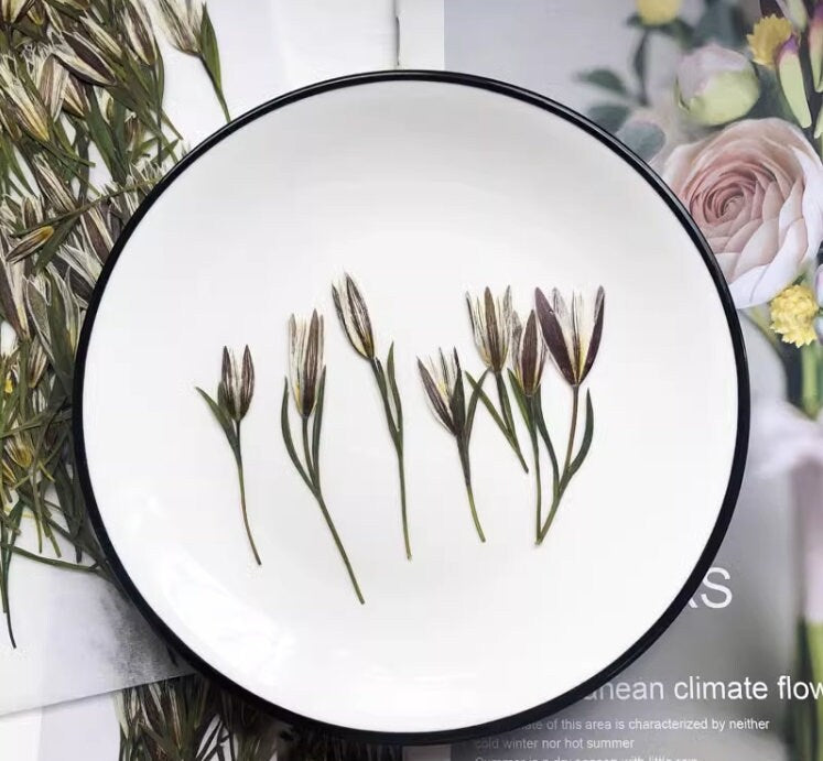 Pressed Lily Flowers: Real Dried Flower Stems, Wedding Invitation Embellishments (12 PCS)