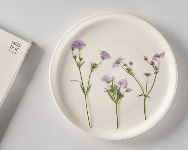 Pressed Flowers,purple Pressed Flowers 8 PCS/Pack,Pressed Flower,Dry Flat Purple Flower Stems Wild Dried flower FloralPressed dry flowers