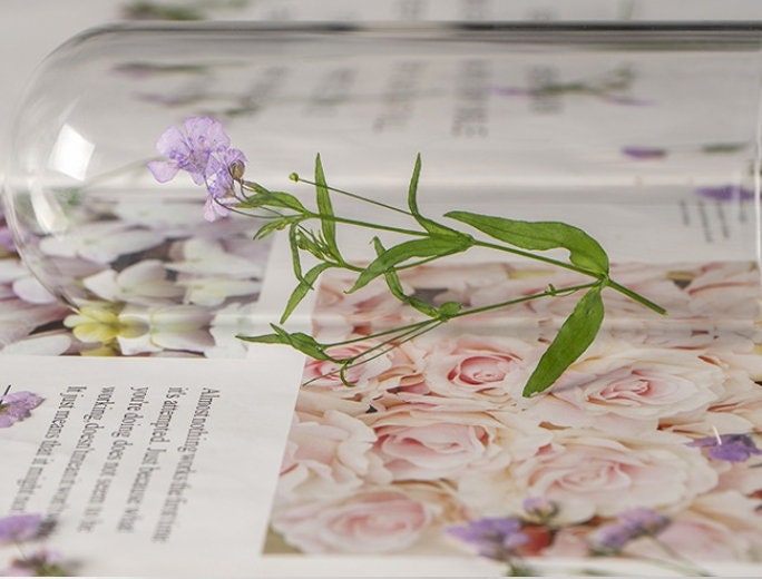 Pressed Flowers,purple Pressed Flowers 8 PCS/Pack,Pressed Flower,Dry Flat Purple Flower Stems Wild Dried flower FloralPressed dry flowers