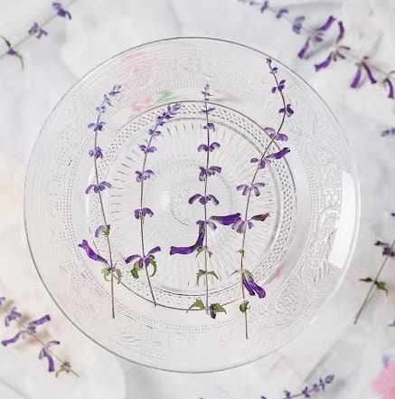 Purple Pressed Flower Stems - 12 PCS Dry Flower Pack