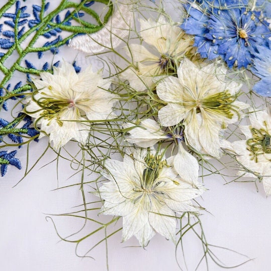 White Pressed Flowers: Real Dried Petals, Craft Supplies (10 PCS/PACK)
