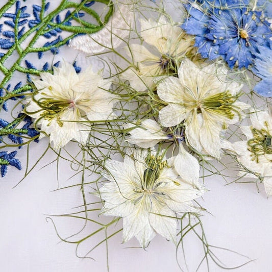 White Pressed Flowers: Real Dried Petals, Craft Supplies (10 PCS/PACK)