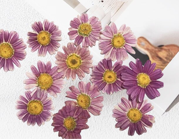 Purple Pressed Flowers: Scrapbooking Art, Set of 8