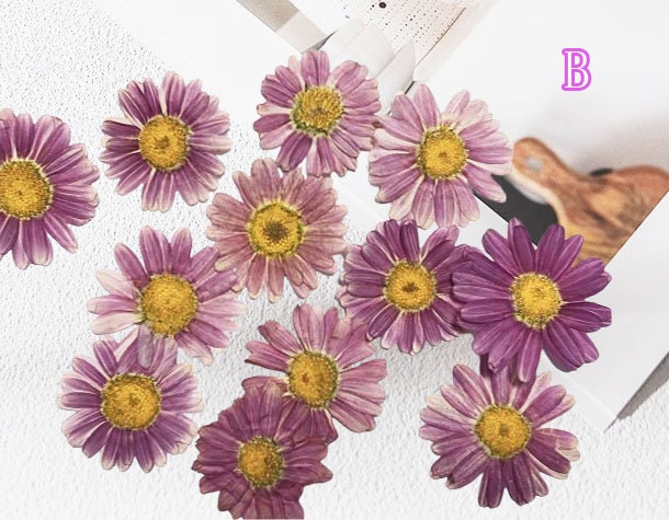 Purple Pressed Flowers: Scrapbooking Art, Set of 8