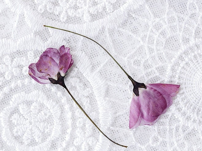 Pressed Purple Begonia Flowers for Resin, 12 PCS Flat Flower Pack