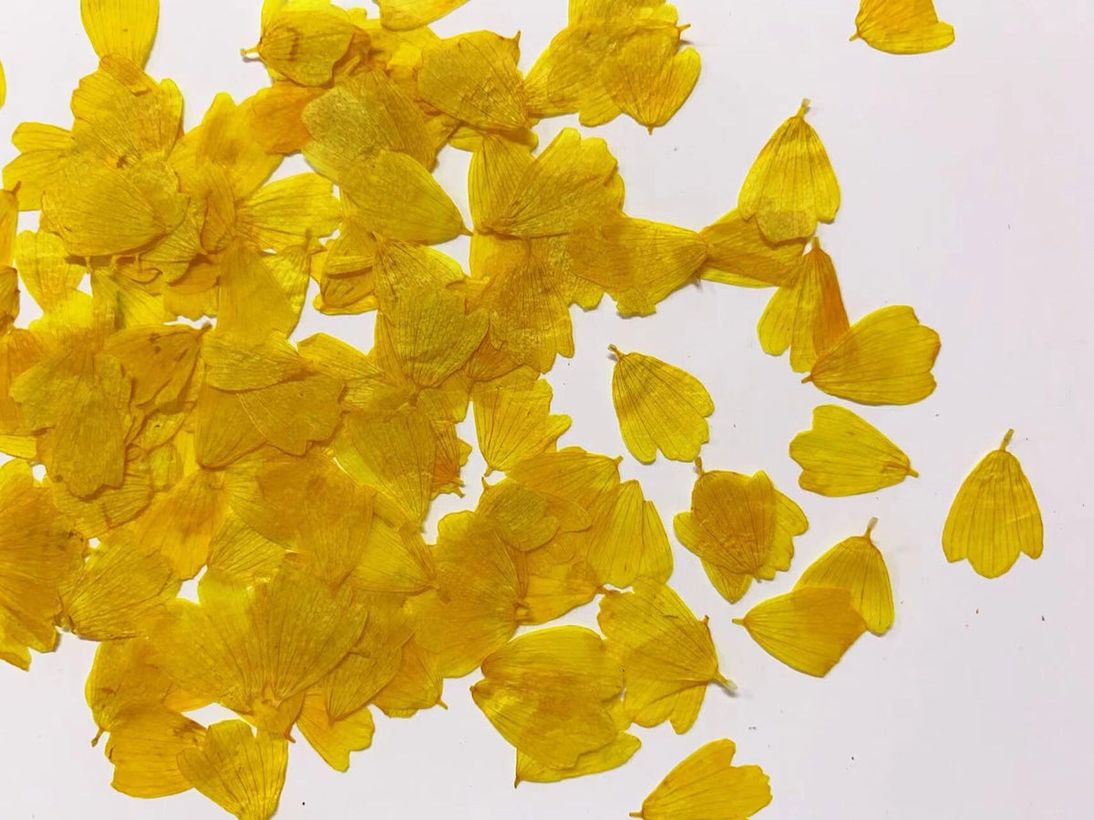 Yellow Pressed Flower Petals: Dried petals Dry Flower Craft Supply Set (20 PCS)wedding table decoration