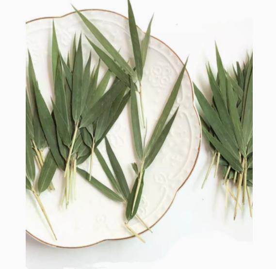 A Pack of 10 PCS  plants decor,Dried leaf decor,Dried bamboo leaves,plants Dried leaves,Pressed botanicals,Village craft
