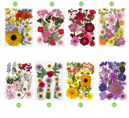 Mixed Dried Pressed Flowers: DIY Resin Jewelry & Crafts