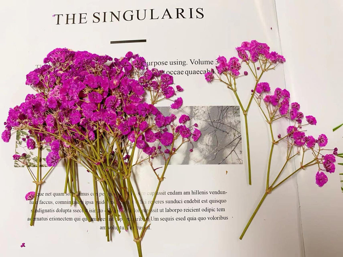 Deep Pink Pressed Baby's Breath Flowers: Wedding Invitation Decor (20 PCS, 6-8CM)