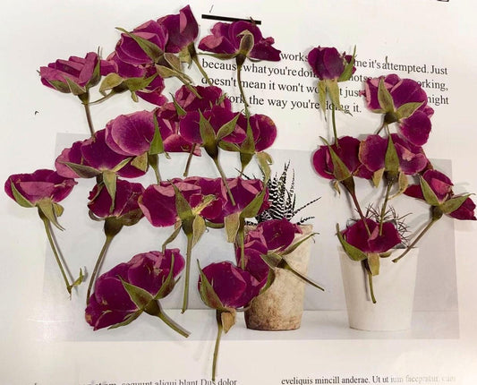Dried Pressed Flower,10 PCS/Pack,rose red Rose Buds Pressed, Real Dry Rose Flower Stems Tiny,Rose Buds Dry Preserved Flowers Small Rose Buds