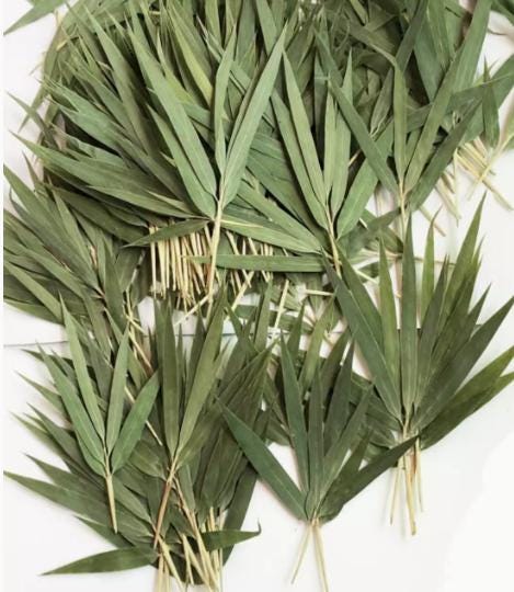 A Pack of 10 PCS  plants decor,Dried leaf decor,Dried bamboo leaves,plants Dried leaves,Pressed botanicals,Village craft