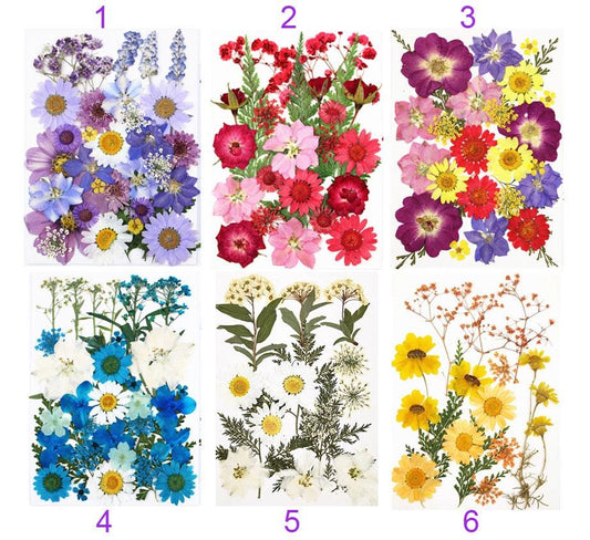 Mixed Colors Pressed Flowers: Dried Flat Flowers for Resin Jewelry
