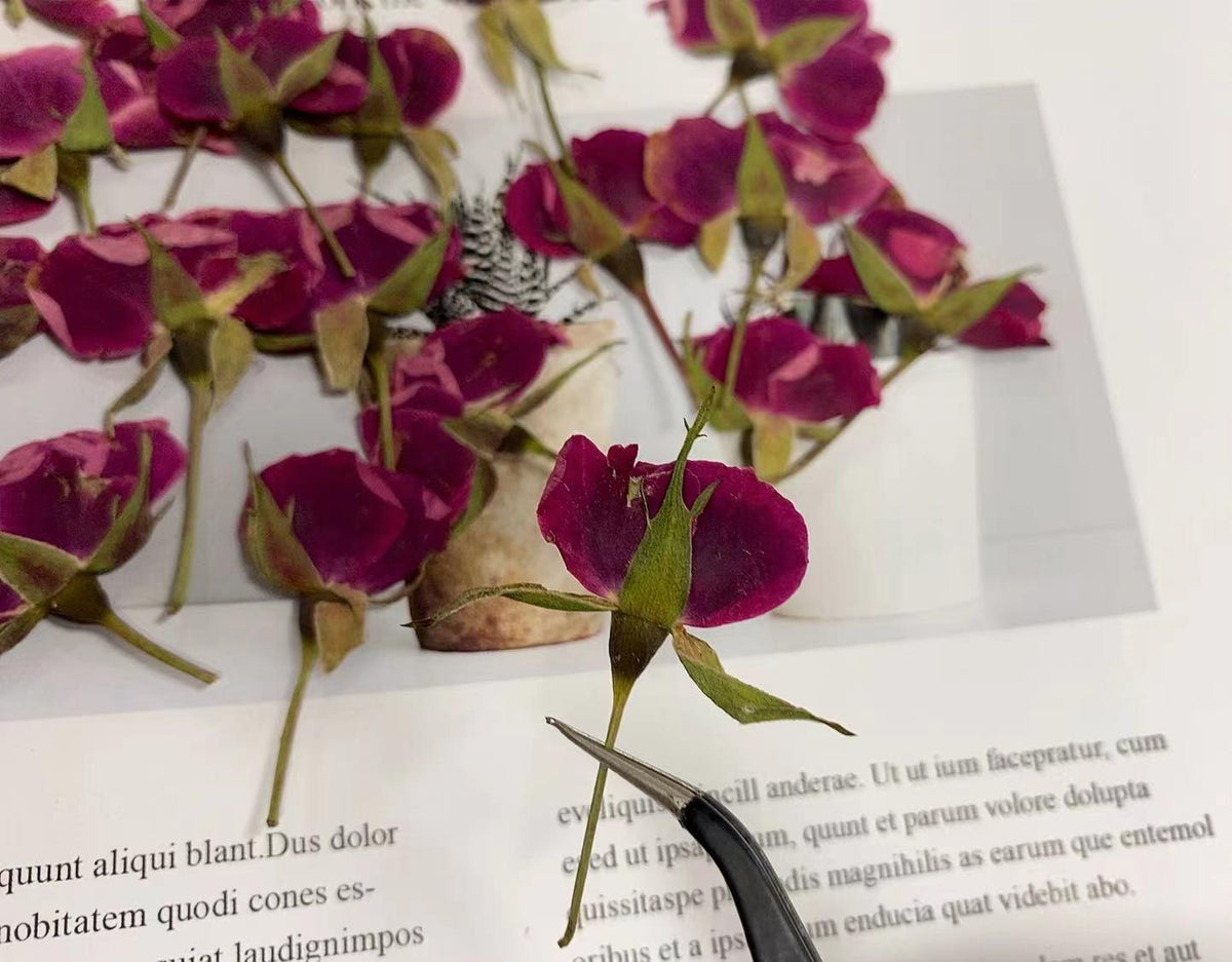 Dried Pressed Flower,10 PCS/Pack,rose red Rose Buds Pressed, Real Dry Rose Flower Stems Tiny,Rose Buds Dry Preserved Flowers Small Rose Buds