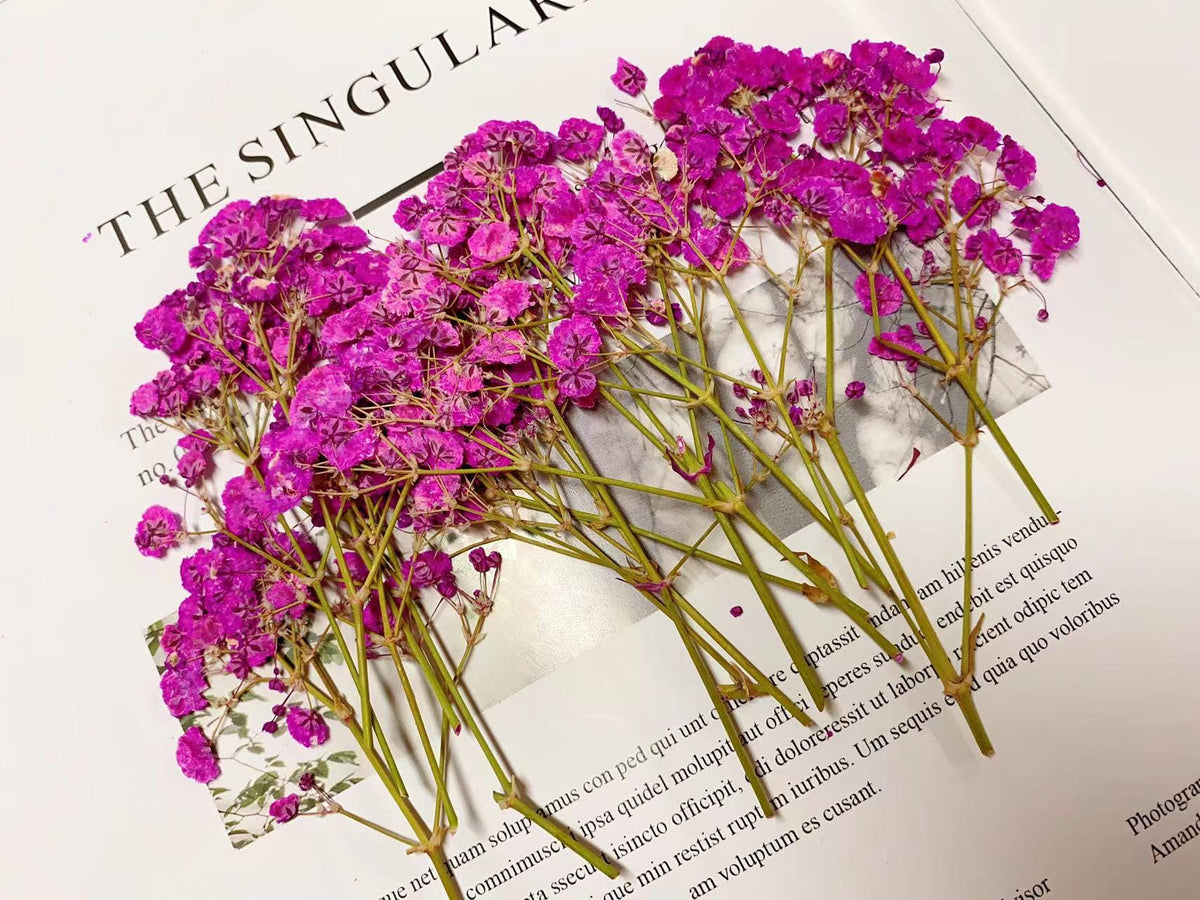 Deep Pink Pressed Baby's Breath Flowers: Wedding Invitation Decor (20 PCS, 6-8CM)
