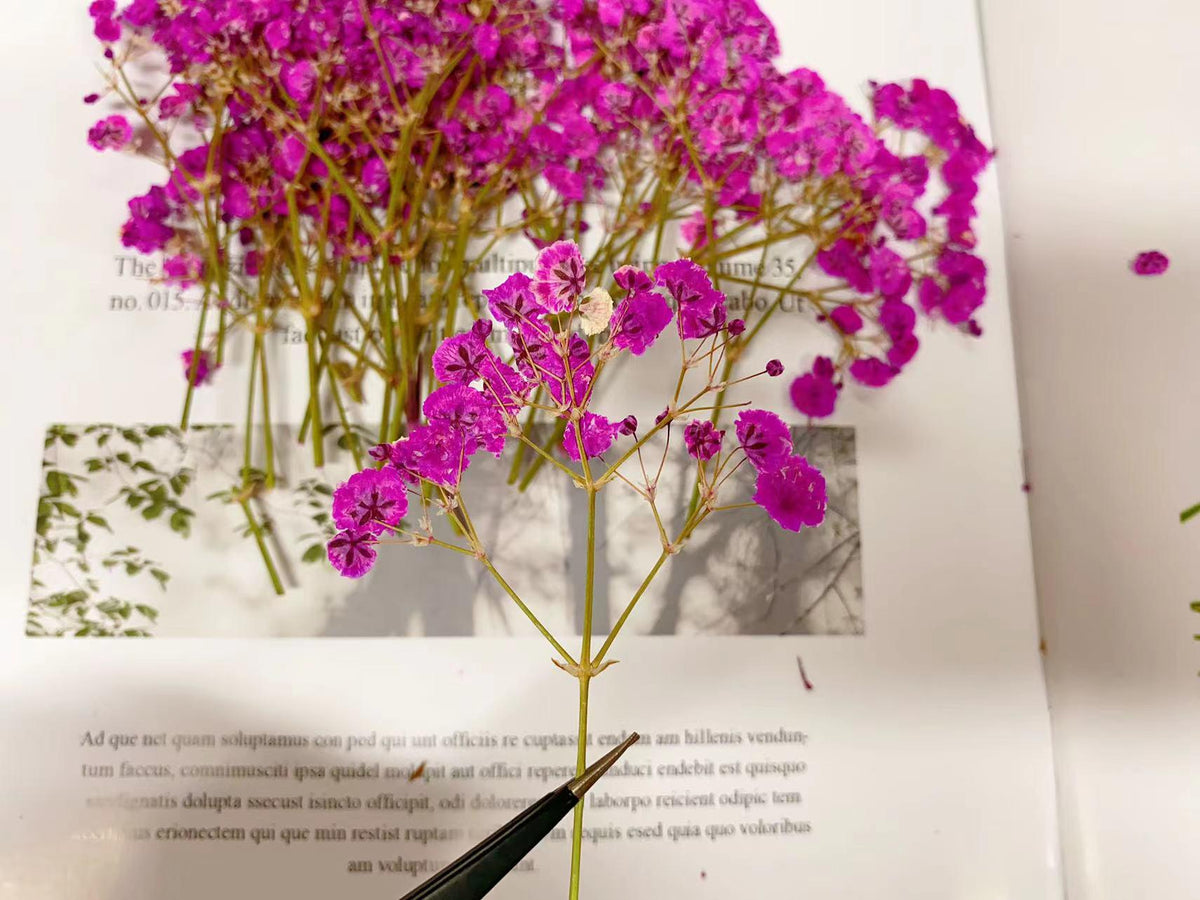Deep Pink Pressed Baby's Breath Flowers: Wedding Invitation Decor (20 PCS, 6-8CM)