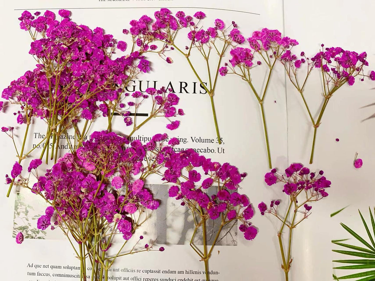 Deep Pink Pressed Baby's Breath Flowers: Wedding Invitation Decor (20 PCS, 6-8CM)