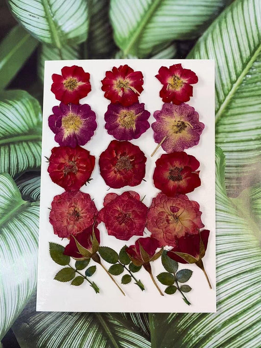 Pressed Red Rose Flowers: 18 PCS Real Dried Roses