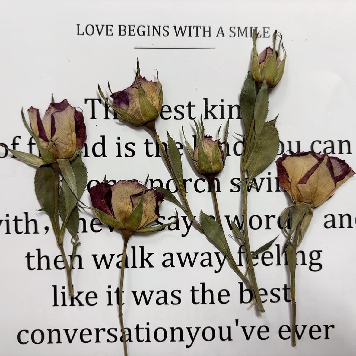 Pressed flowers,8 PCS/Pack,Deep purple dried Pressed flowers Bud,dried flower,Real Dried Pressed flowers,Purple rose,Red rose Valentine gift