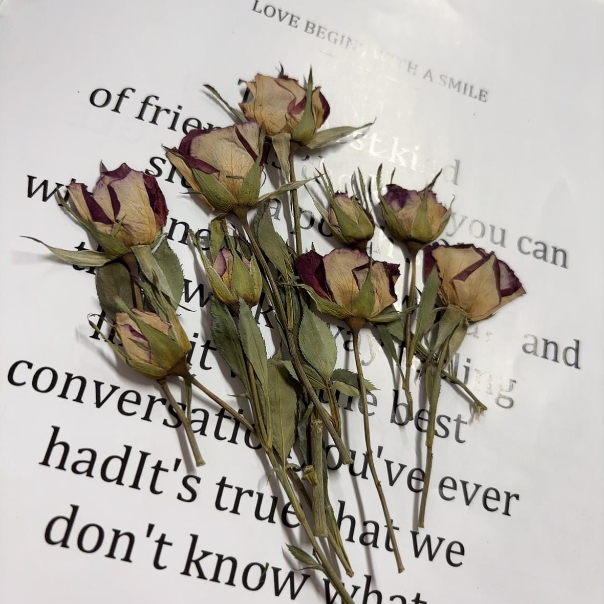 Pressed flowers,8 PCS/Pack,Deep purple dried Pressed flowers Bud,dried flower,Real Dried Pressed flowers,Purple rose,Red rose Valentine gift