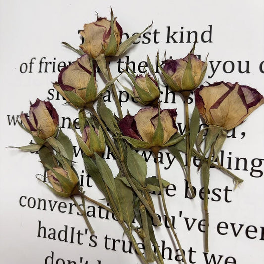 Pressed flowers,8 PCS/Pack,Deep purple dried Pressed flowers Bud,dried flower,Real Dried Pressed flowers,Purple rose,Red rose Valentine gift