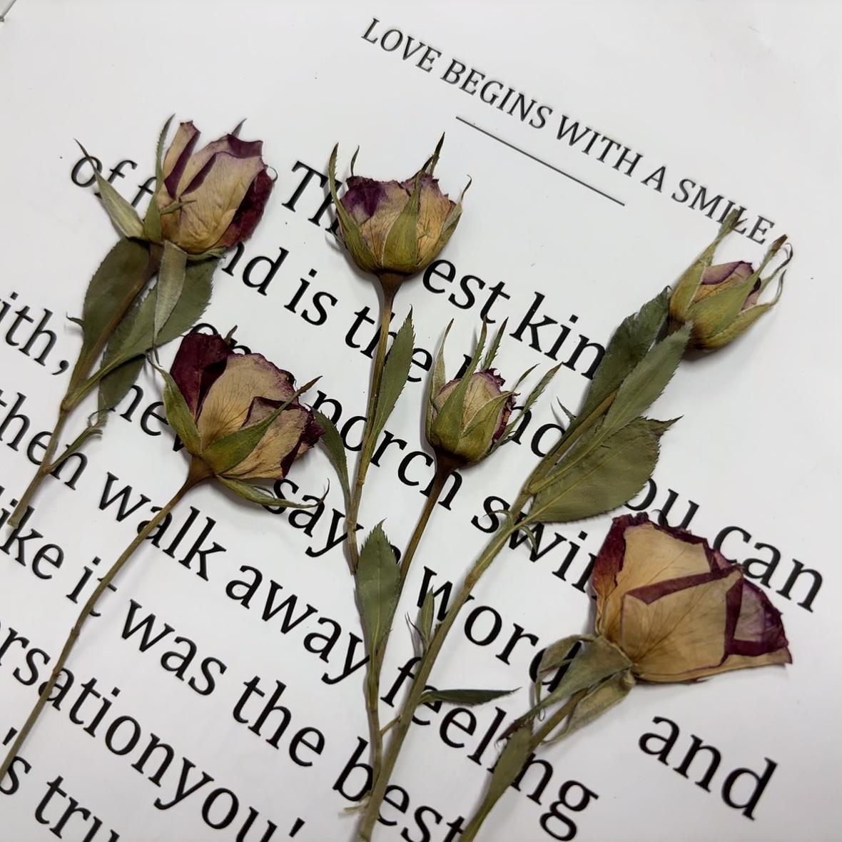 Pressed flowers,8 PCS/Pack,Deep purple dried Pressed flowers Bud,dried flower,Real Dried Pressed flowers,Purple rose,Red rose Valentine gift